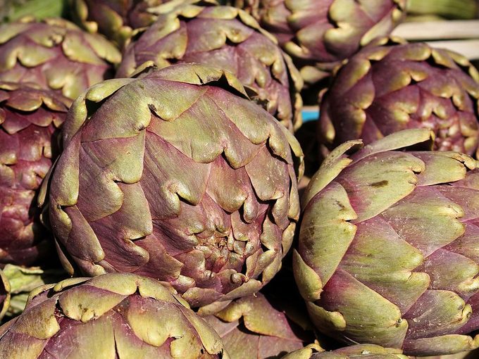 Globe Artichoke