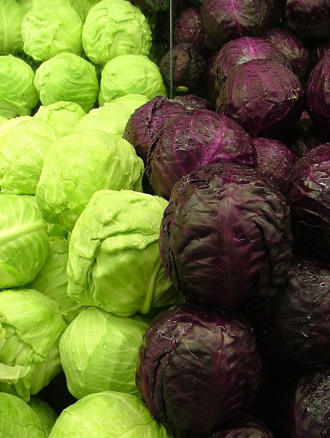 Cabbage