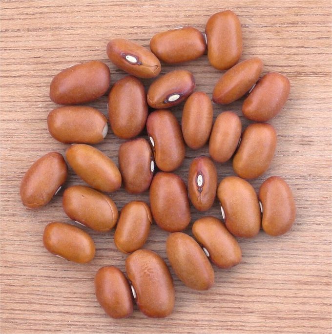 Common Bean