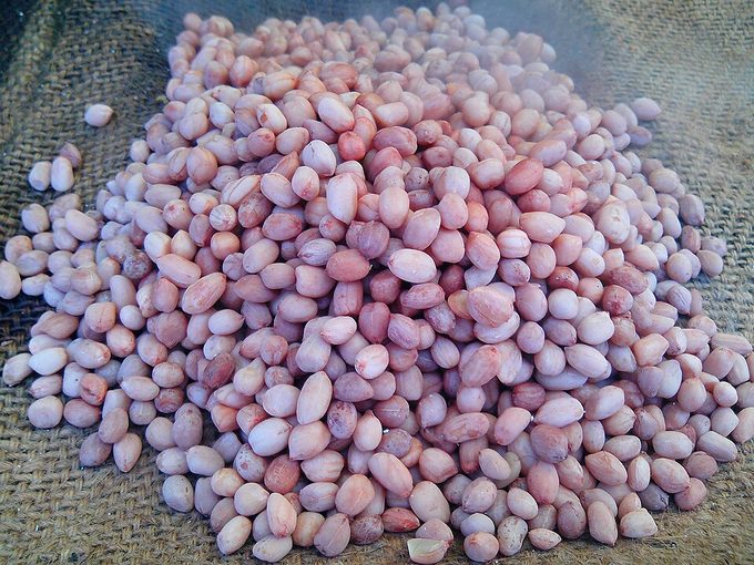 Groundnut
