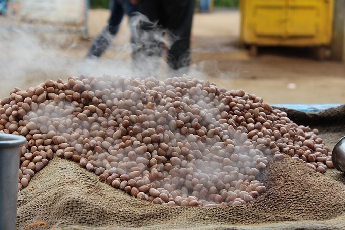 Groundnut