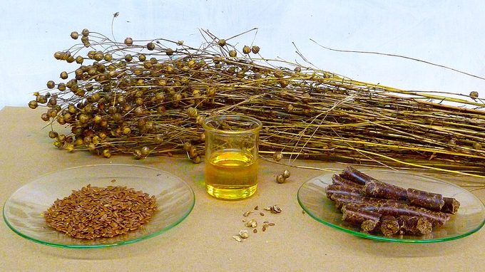 Linseed