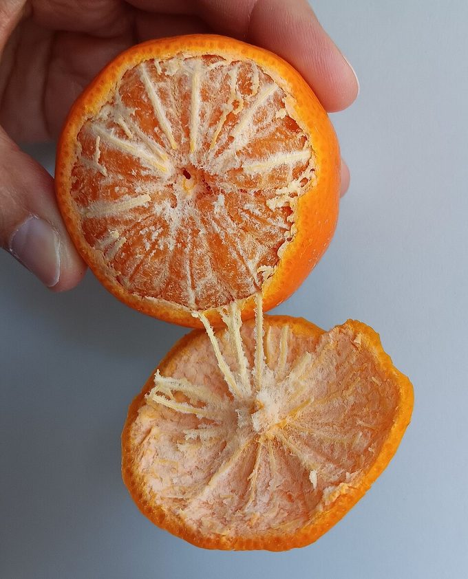 Mandarin