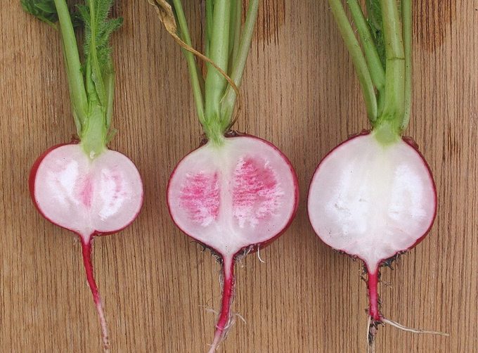 Radish
