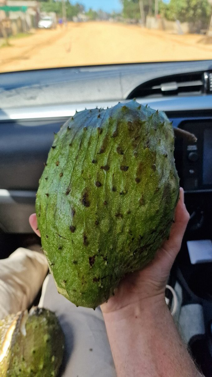 Soursop