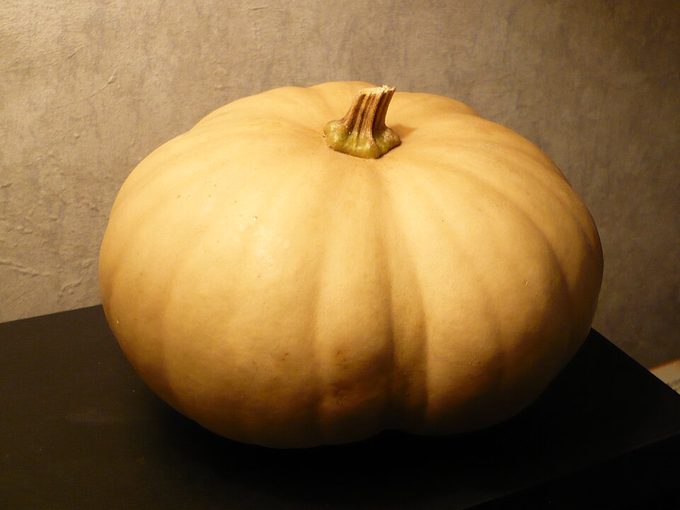 Squash