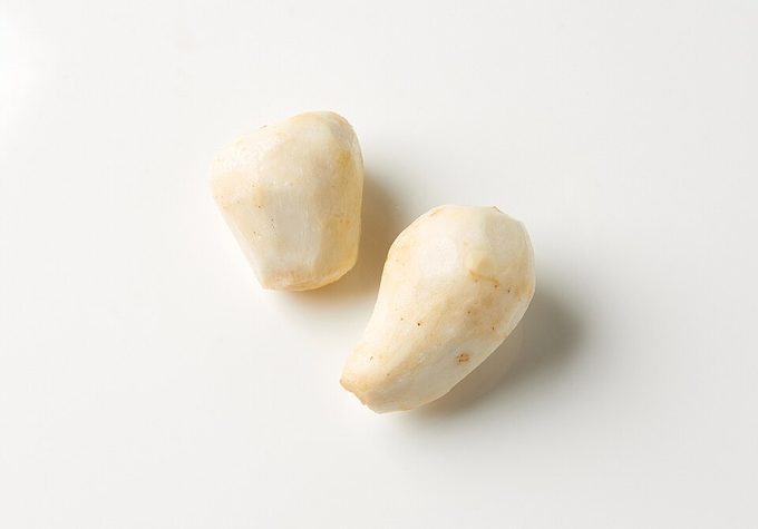 Taro