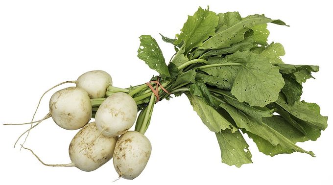 Turnip