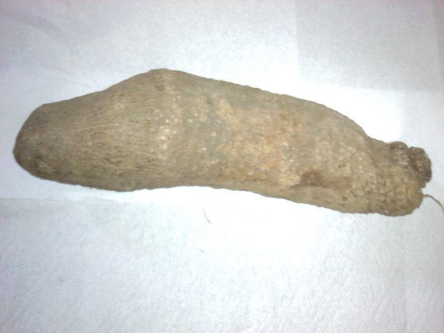 Yam